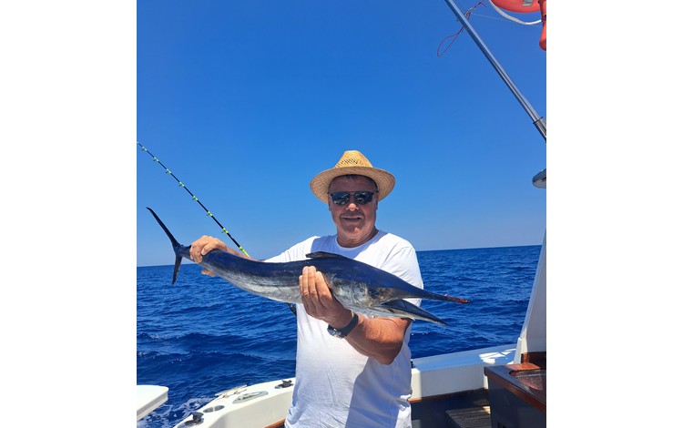 Mallorca Portocolom Fangerfolge Mallorca Portocolom Fangerfolge