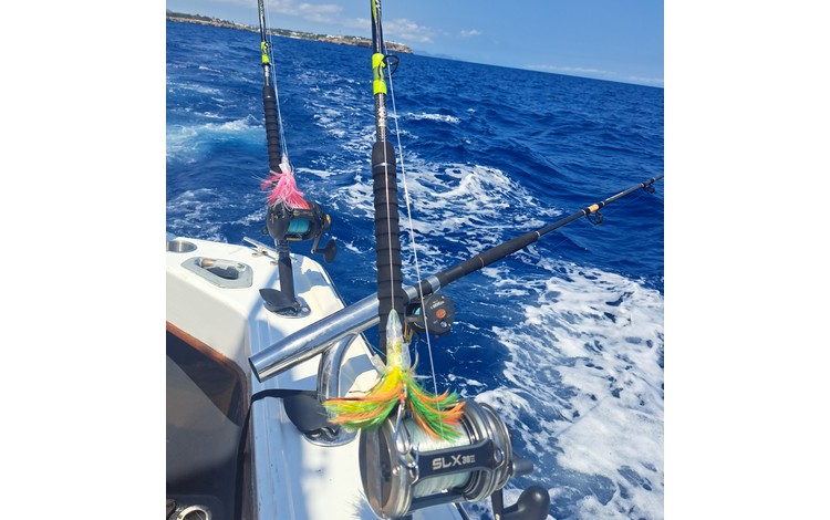 Mallorca Portocolom Fangerfolge Mallorca Portocolom Fangerfolge