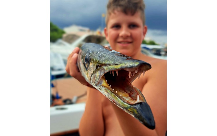 Mallorca Portocolom Fangerfolge Mallorca Portocolom Fangerfolge