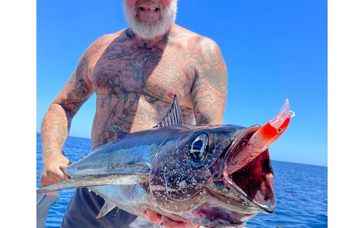 Mallorca Portocolom Fangerfolge Mallorca Portocolom Fangerfolge