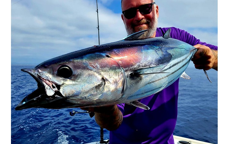 Mallorca Portocolom Fangerfolge Mallorca Portocolom Fangerfolge