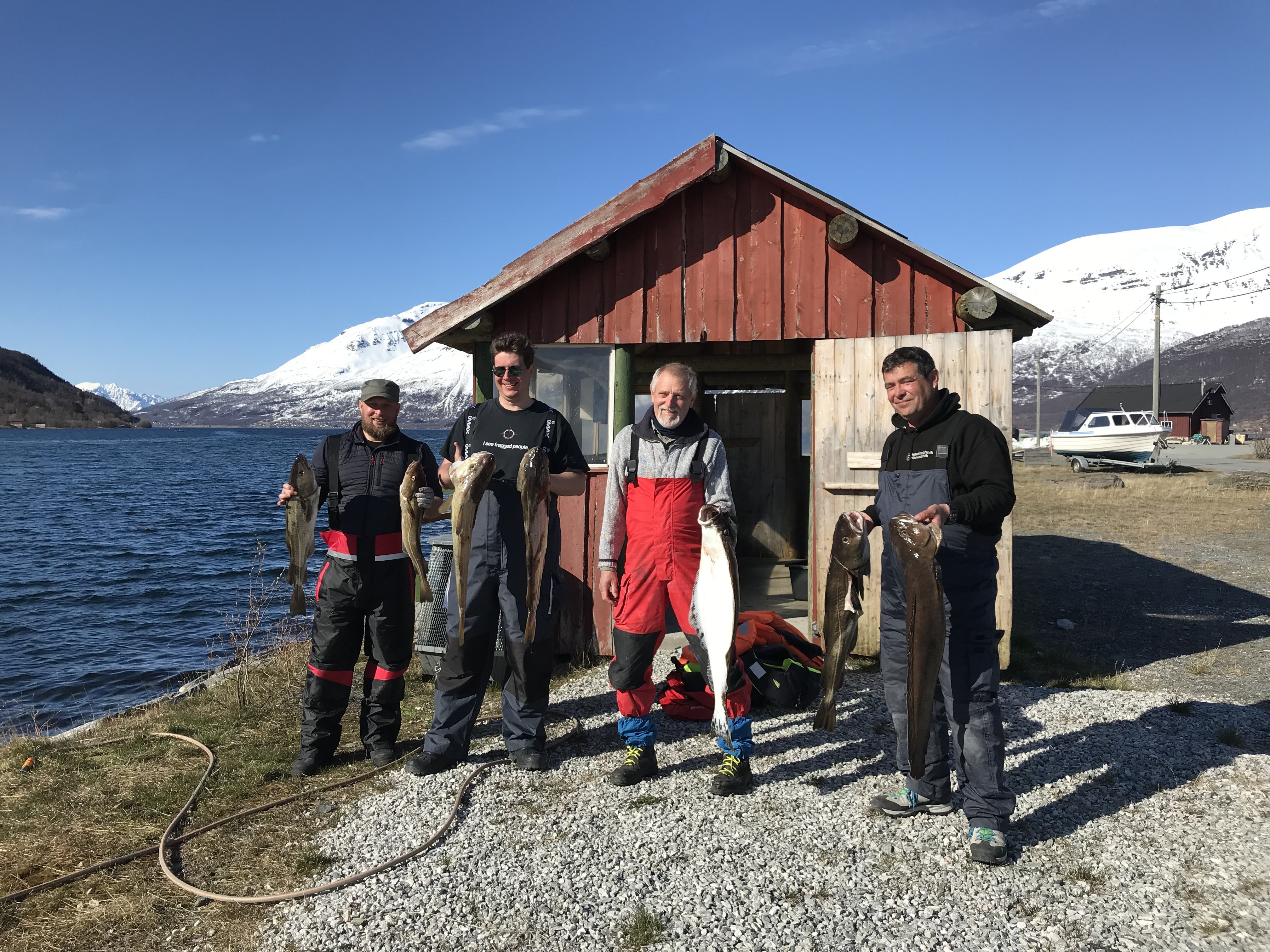 Manndalen Sjoebuer Fangerfolge 