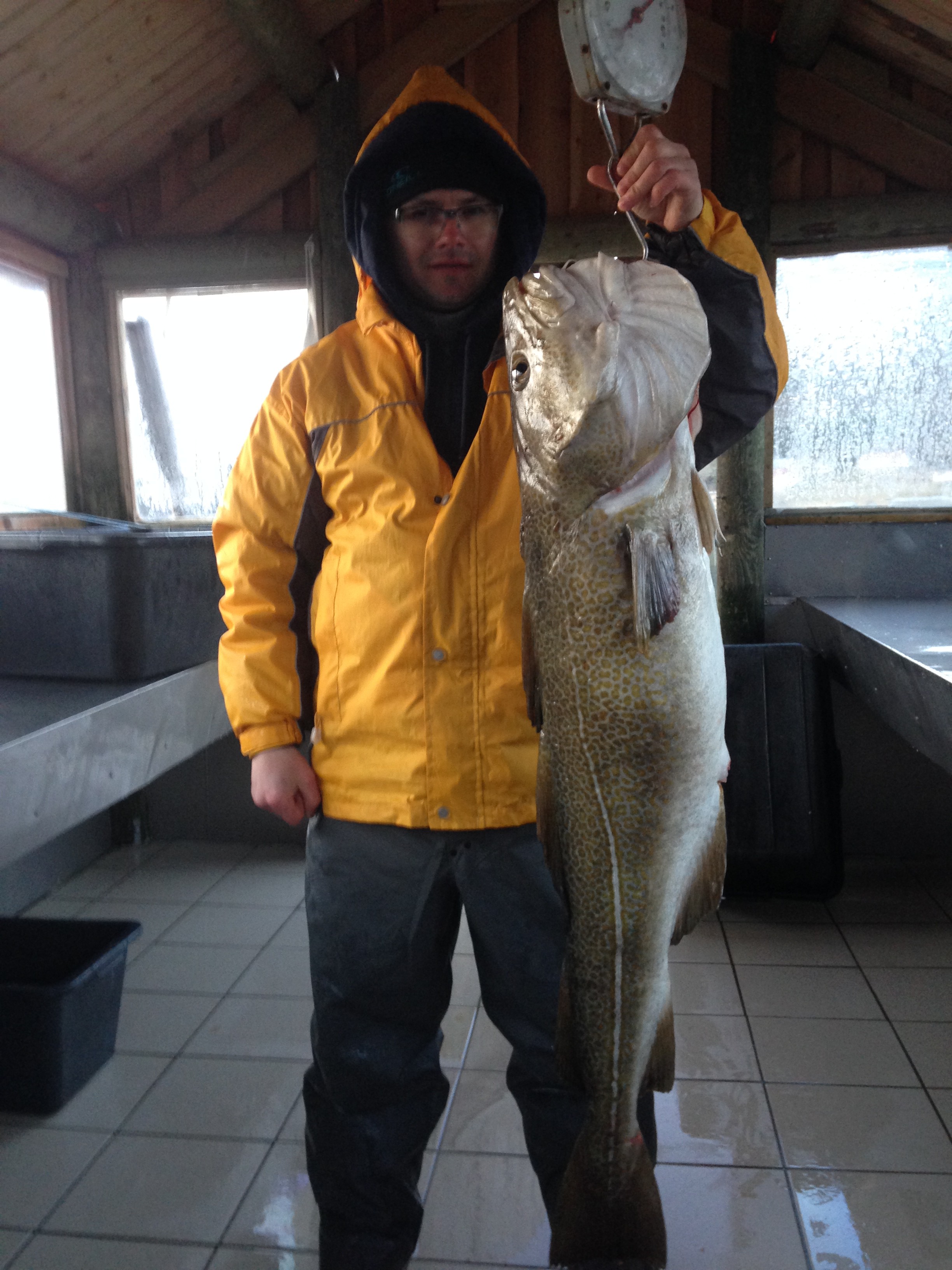 Manndalen Sjoebuer Fangerfolge 