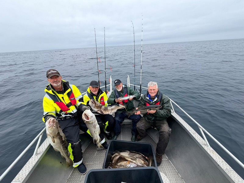 Martini Fishing Camp Fangerfolge 