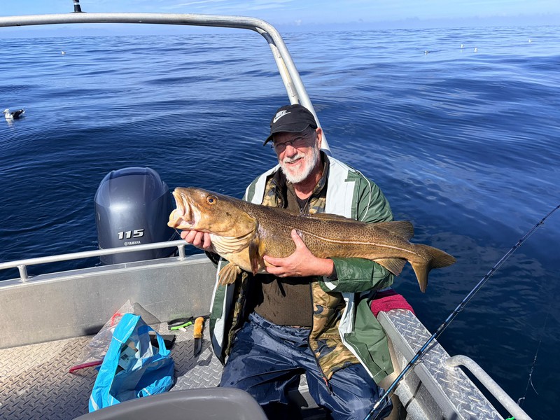 Martini Fishing Camp Fangerfolge 