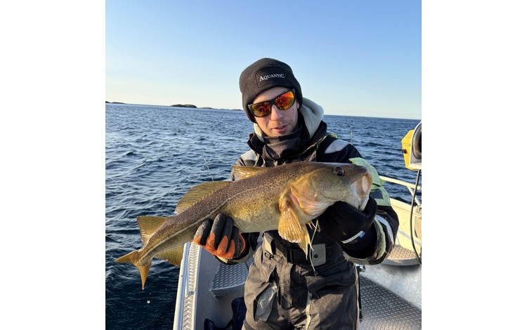 Norwegischer Bootsfuehrerschein Fangerfolge 