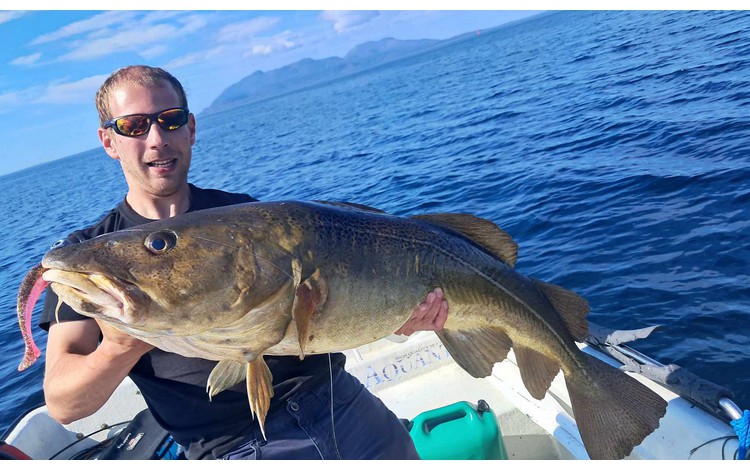 Norwegischer Bootsfuehrerschein Fangerfolge 