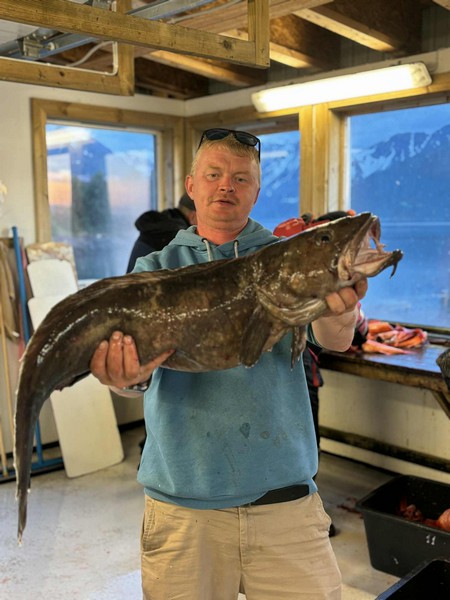 Oesksfjord Sjoefiske Fangerfolge 