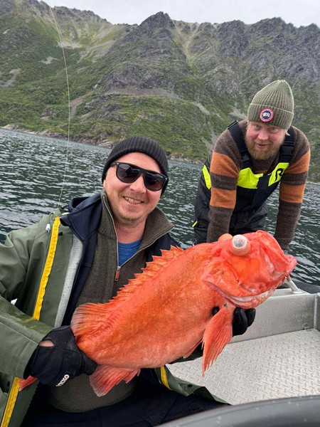 Oesksfjord Sjoefiske Fangerfolge 