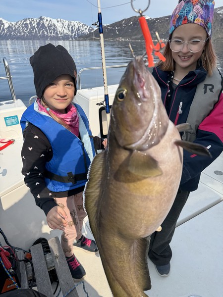 Oesksfjord Sjoefiske Fangerfolge 