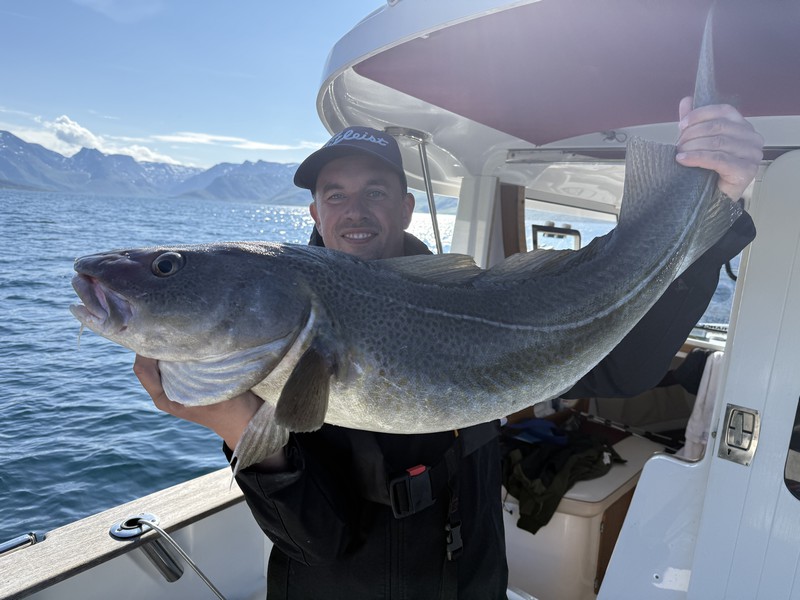 Oesksfjord Sjoefiske Fangerfolge 