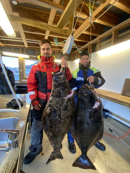 Oesksfjord Sjoefiske Fangerfolge 
