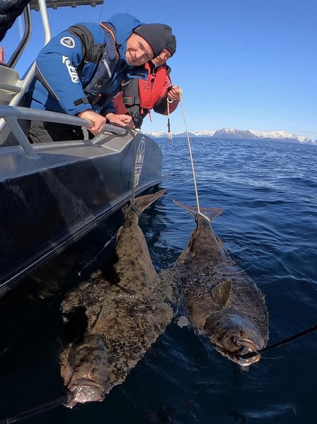 Risoeyhamn Sjoehus Fangerfolge 