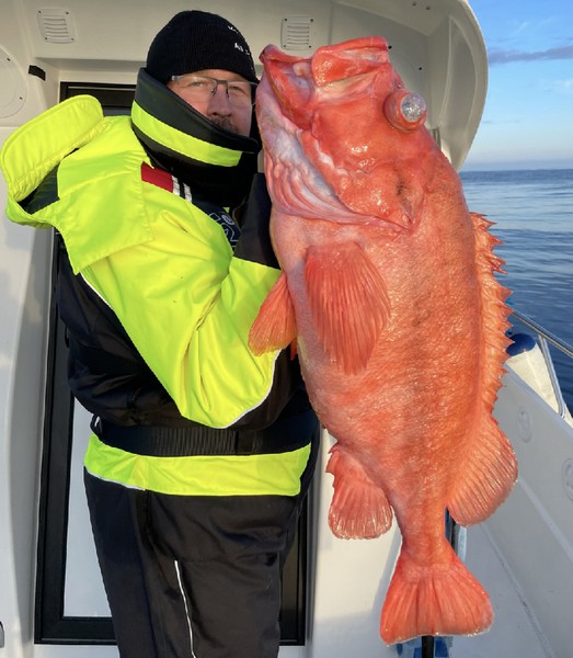 Risoeyhamn Sjoehus Fangerfolge 