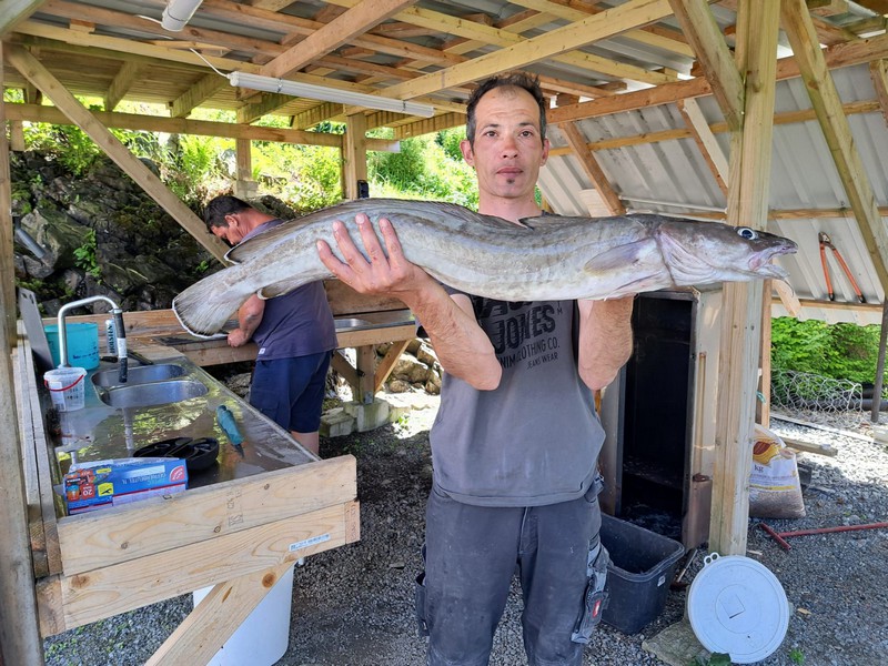 Rorbu Rolvsnes Fangerfolge 