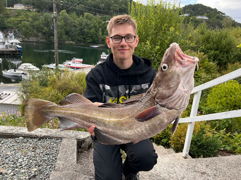 Rorbu Rolvsnes Fangerfolge 