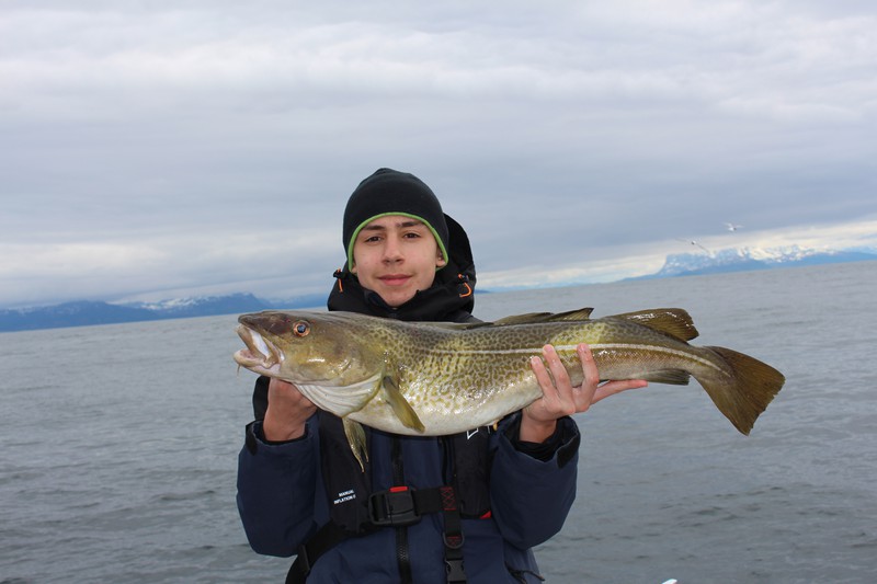 Skjervoey Fiskecamp Fangerfolge Image