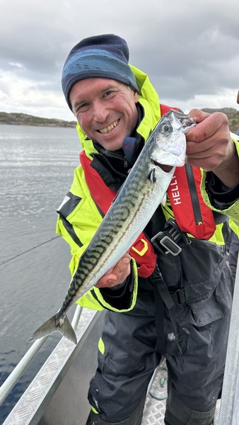 Standahl Rorbuferie Fangerfolg 