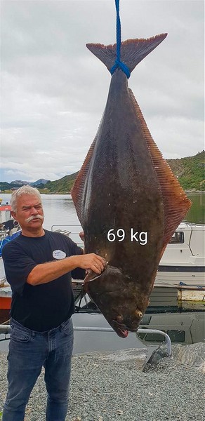 Standahl Rorbuferie Fangerfolge 