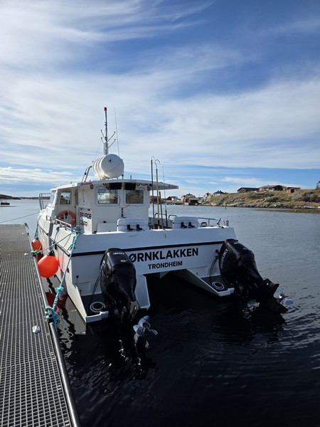 Titran Rorbuer Service Image