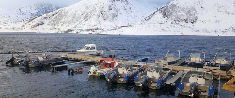 Arctic Nuvsvag Boote Header