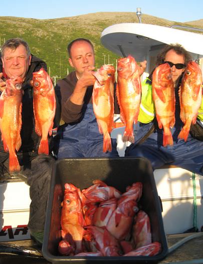 Buroysund Insel Vannoya Fangerfolge