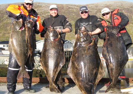 Buroysund Insel Vannoya Fisch