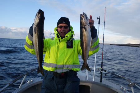 Heggesvik Startseite Fisch