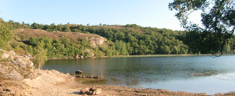 Heggesvik Startseite See
