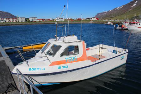 Island Bootsflotte