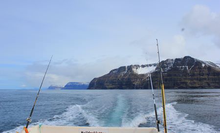 Island Westfjorde Bootsflotte