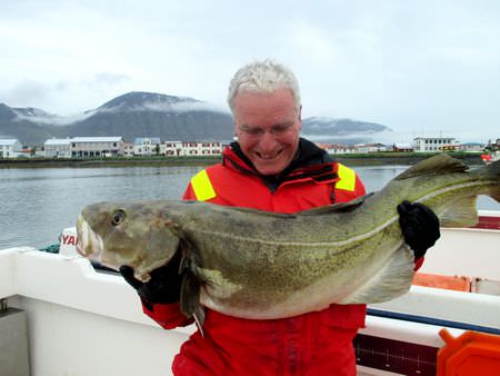 Island Westfjorde Fisch