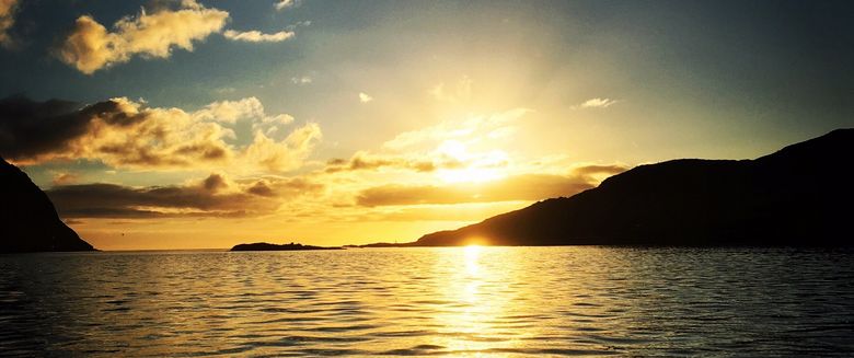 Lofoten Havfiske  