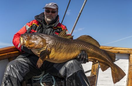 Mittelnorwegen Bessaker Fische