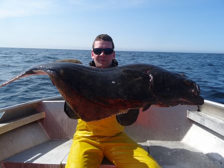 Mittelnorwegen_Lovoen_Fisch