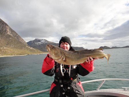 Nordnorwegen Steigen Fischbild 