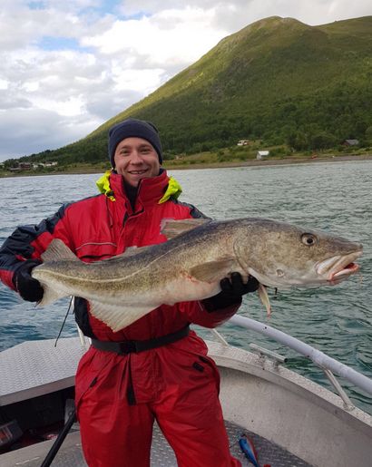 Nordnorwegen Lyngen Havfiske Fischbild