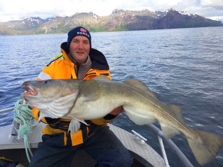 Nordnorwegen Lyngen Havfiske Fisch 