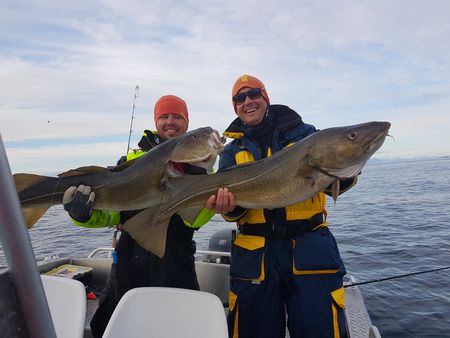 Nordnorwegen Meloey Fangerfolg 