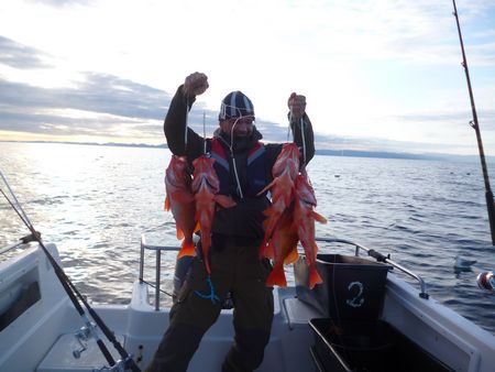 Norwegen Mittel Norwegen Harbak Gard Fischbild