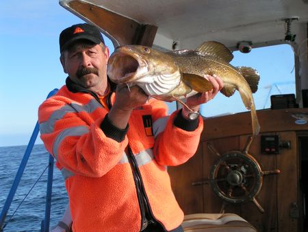 Norwegen Suenorwegen Rosstad Hytter Skottevik Umgebung