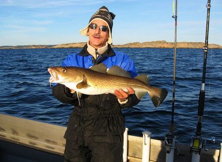 Norwegen Suenorwegen Rosstad Hytter Fisch