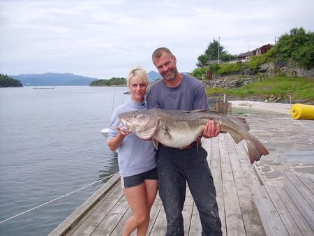 Norwegen Westnorwegen Furrehytter Fischbild