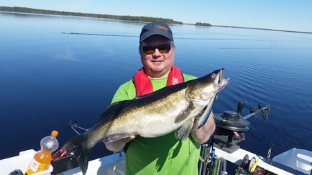 Finnland Rokua  Fischbild