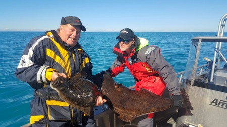 Saltstraumen Fisch Startseite