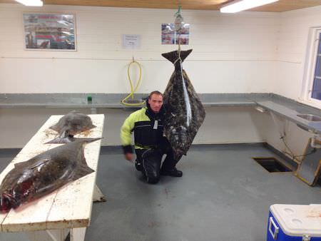 Steigen Sjoehus Service Filetierhaus Fisch