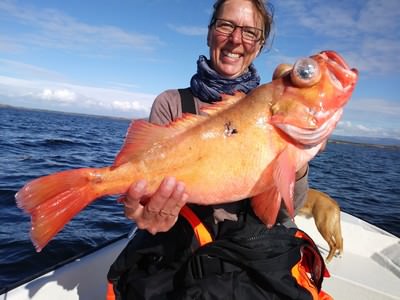Storslåttøya Feriested Storslåttøya Feriested