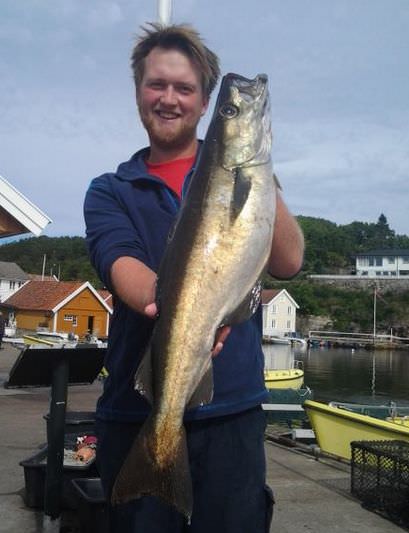 Syrdalsstranda_fisch