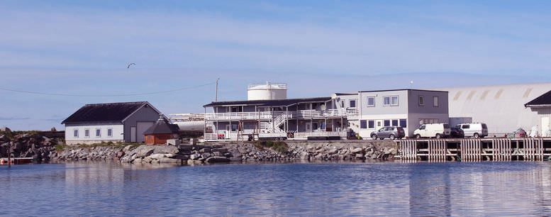 	 Torsvåg Havfiske (Vannøya)