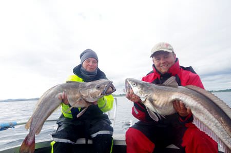 Westnorwegen Smola Edoya Fisch